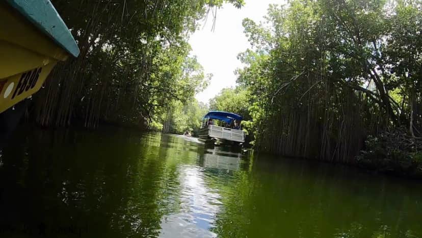 Wakacje i wycieczki Jamajka wszystko o Black River Safari 13