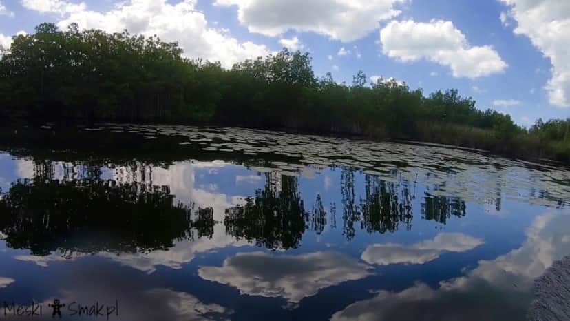 Wakacje i wycieczki Jamajka wszystko o Black River Safari 8