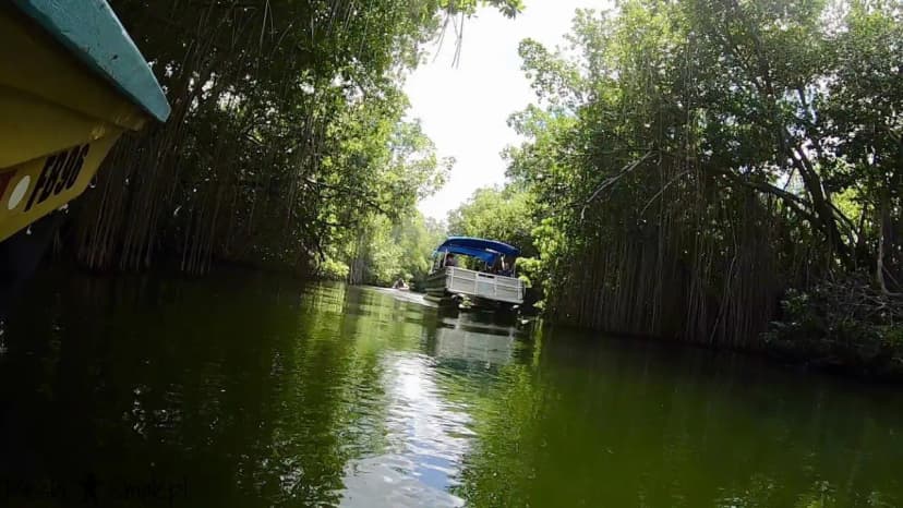 Black River Safari 2