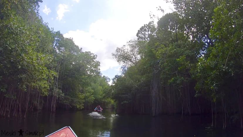 Black River Safari 4