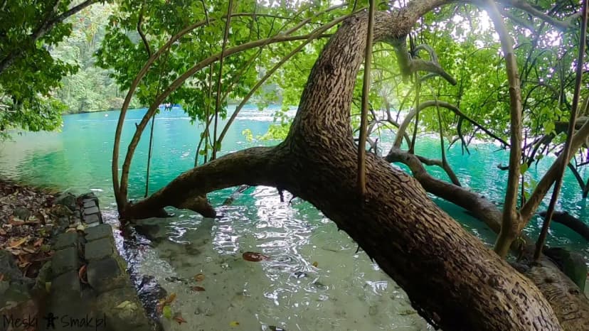 Blue Lagoon 1