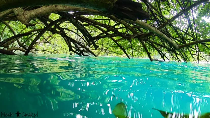 jamajka na własną rękę Blue Lagoon