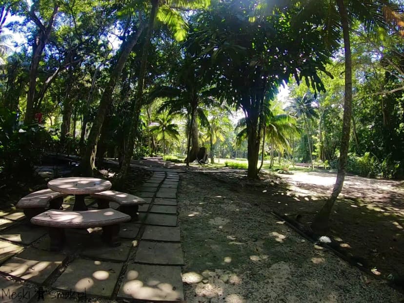 jamajka relacja Dunn’s River Falls 9