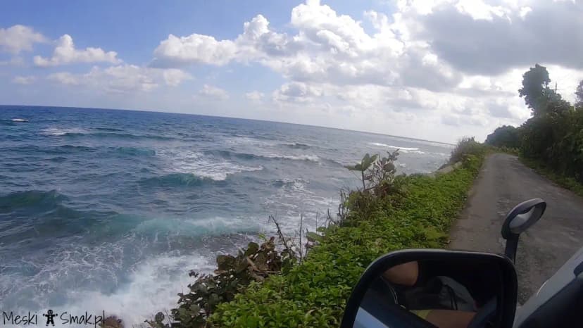 jamajka atrakcje W drodze z Ocho Rios do Port Antonio