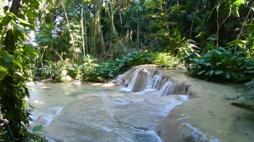 Turtle River Falls & Gardens 13