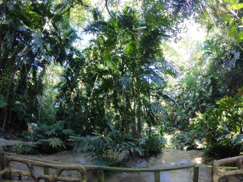 Turtle River Falls & Gardens 18