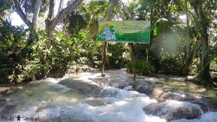 Wakacje i wycieczki Jamajka wszystko o Dunn’s River Falls 6