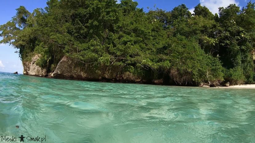 Wakacje i wycieczki Jamajka wszystko o plaża Frenchman’s Cove 5