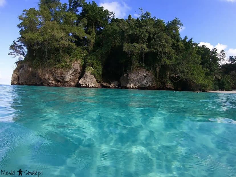 Wakacje i wycieczki Jamajka wszystko o plaża Frenchman’s Cove 6