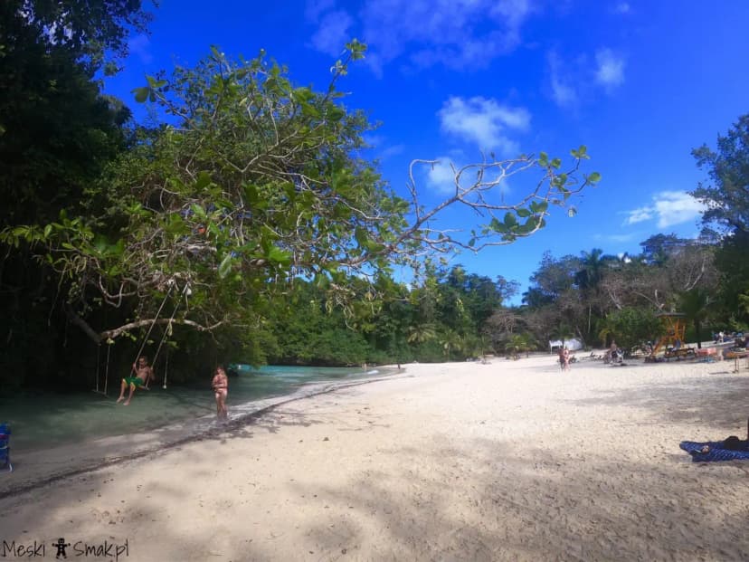 Wakacje i wycieczki Jamajka wszystko o plaża Frenchman’s Cove 7