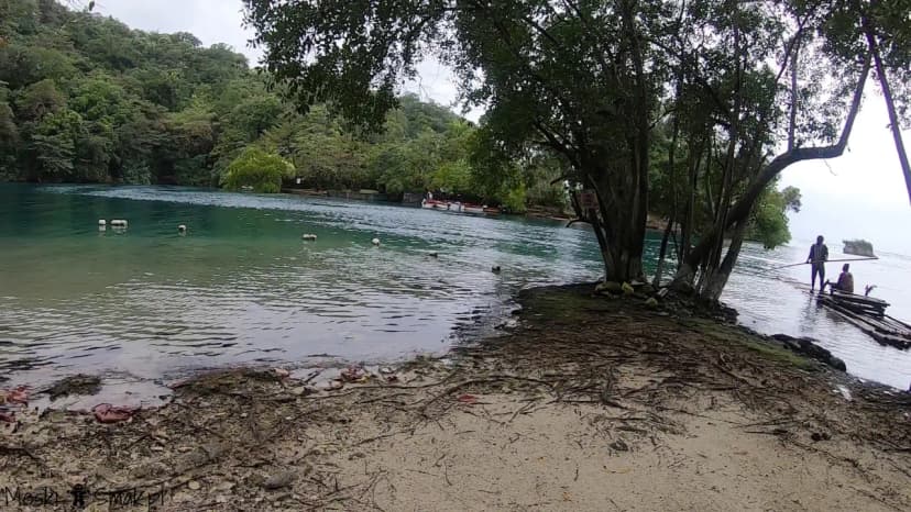Wakacje i wycieczki Jamajka wszystko o błękitna laguna Blue Lagoon 5