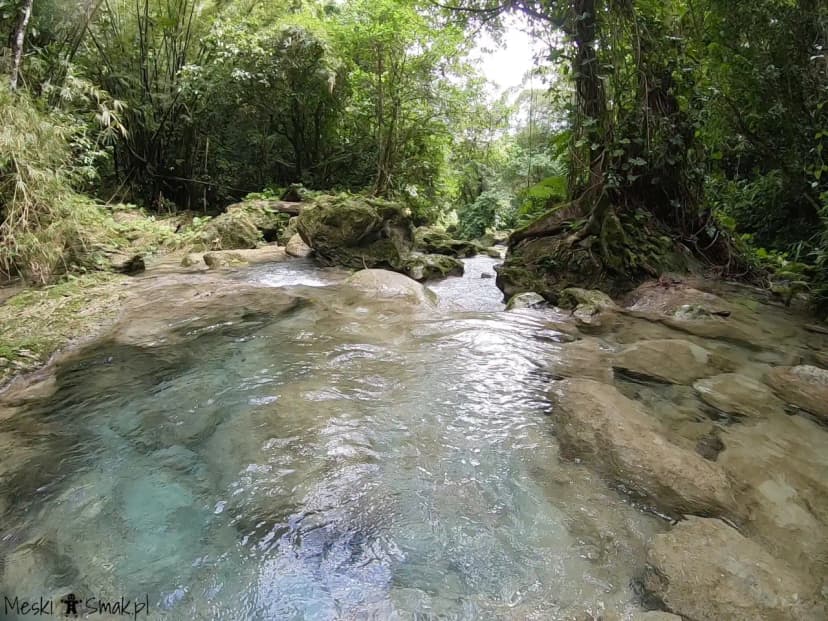 Wodospady Reach Falls 15