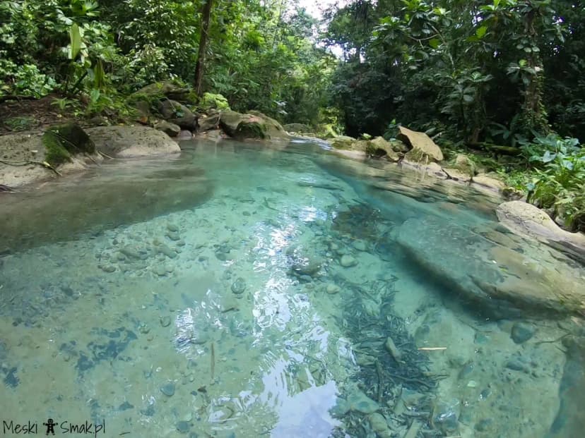 Wodospady Reach Falls 6