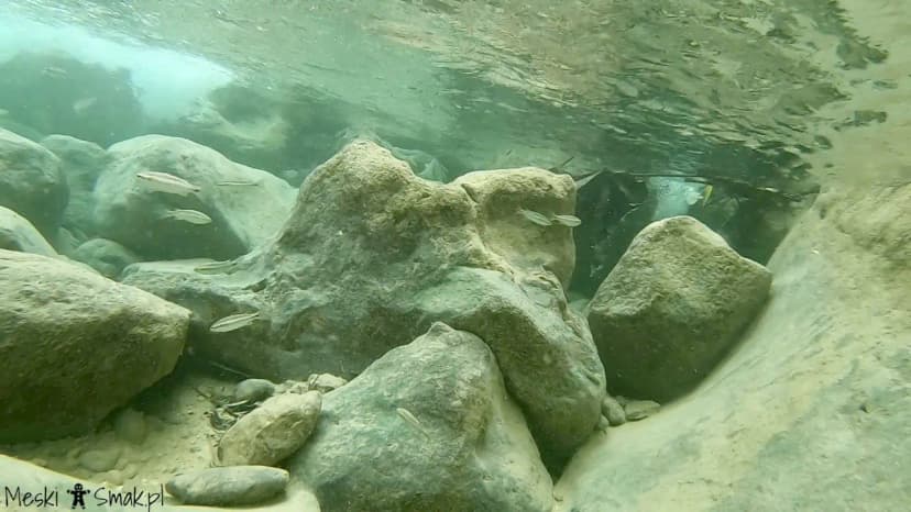 Wodospady Reach Falls 9