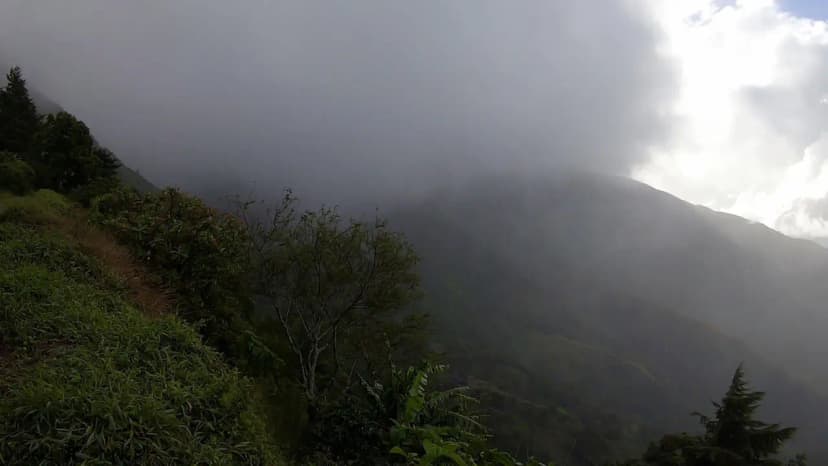 Wakacje i wycieczki Jamajka wszystko o Góry Błękitne Blue Mountains 10