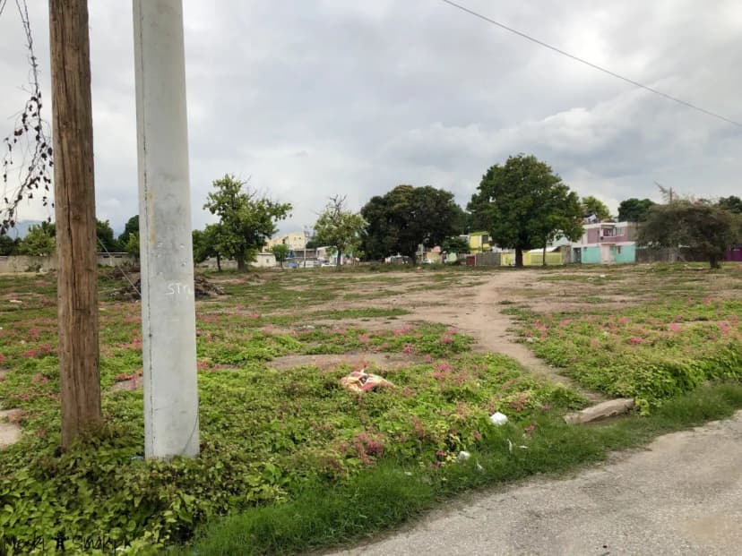 Wakacje i wycieczki Jamajka wszystko o Trench Town Culture Yard 4