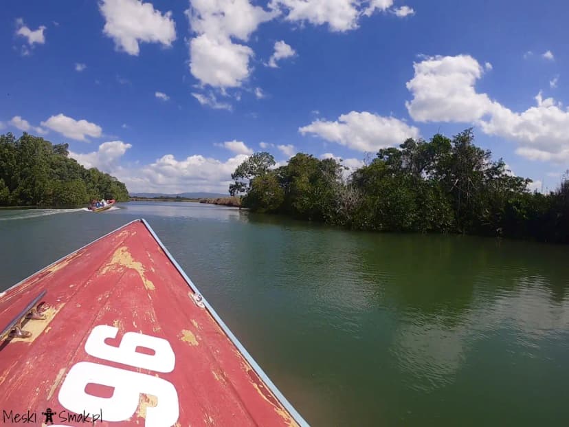 Wakacje i wycieczki Jamajka wszystko o Black River Safari 6