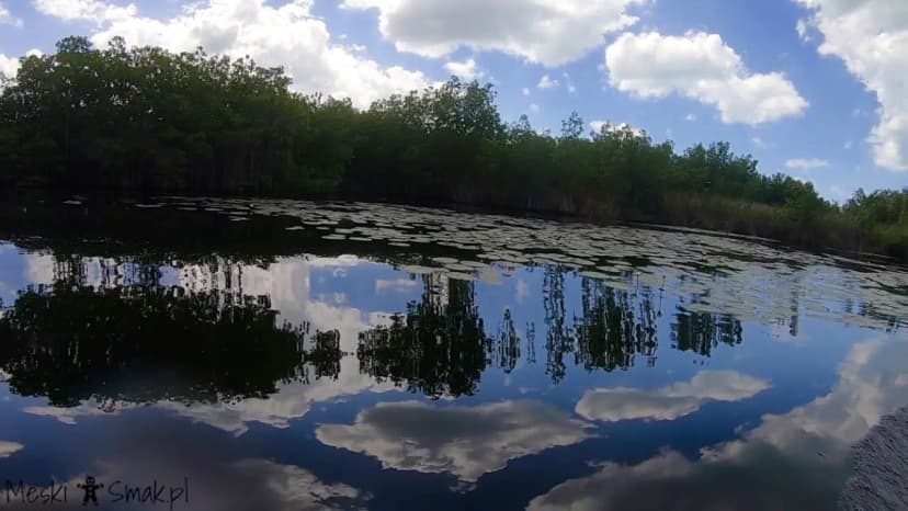 Wakacje i wycieczki Jamajka wszystko o Black River Safari 8