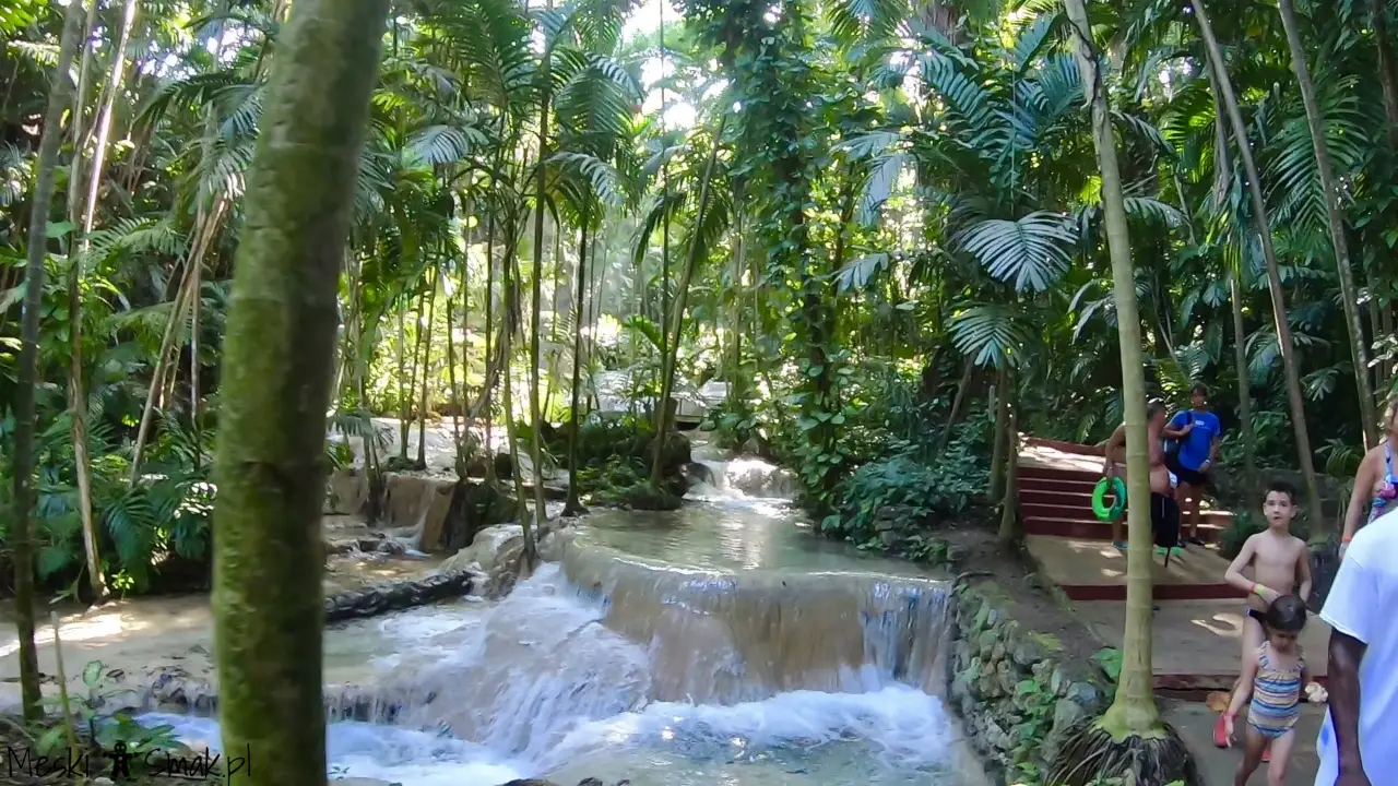 Wakacje i wycieczki Jamajka: The Turtle River Falls & Gardens
